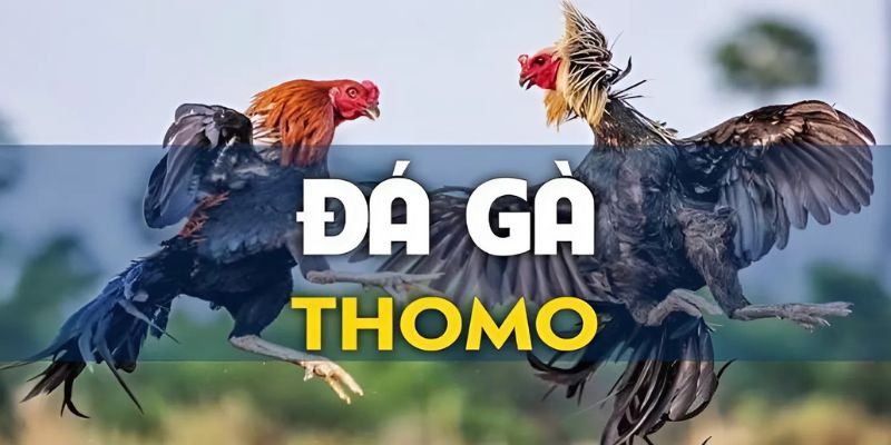 da-ga-thomo