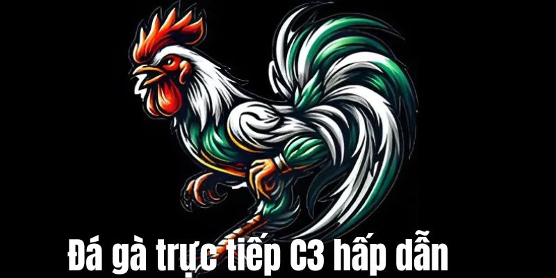 Đá gà trực tiếp C3 đầy hấp dẫn